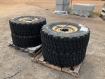 General Appearance #3