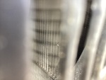 Engine with Radiador