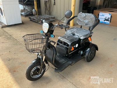 SDLOOL SL-D3 Three-Wheeled Electric Cart