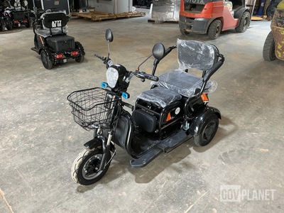 SDLOOL SL-D3 Three-Wheeled Electric Cart