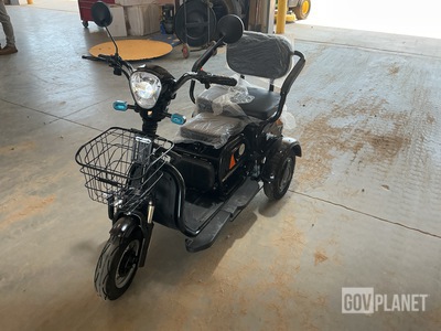 SDLOOL SL-D3 Three-Wheeled Electric Cart