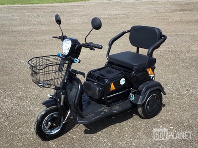 SDLOOL SL-D3 Three-Wheeled Electric Cart