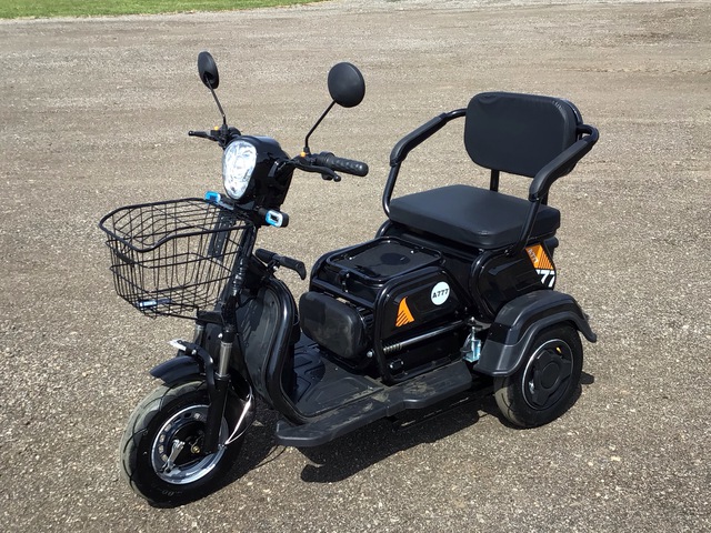 SDLOOL SL-D3 Three-Wheeled Electric Cart