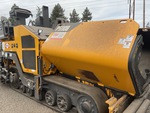 General Appearance with Paint