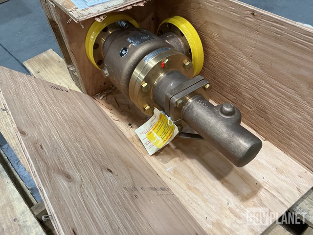 Danco Valve BAMHH05MKK Safety Relief Valve