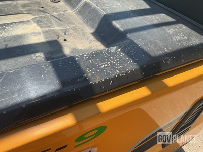 General Appearance with Paint