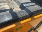 General Appearance with Paint