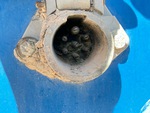 Trailer Chassis with Lights/Wiring Condition