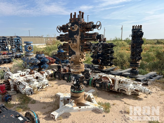 2010 Texas Oil Tools ES46-L469X Blowout Preventer