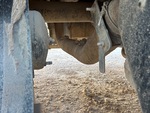 Engine with Exhaust System