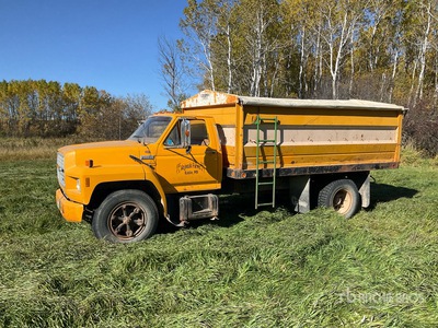 Ford F600 4x2 Grain Truck