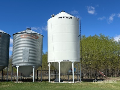 Westeel Magnum G +/- 4000 bu Smooth Wall Hopper Cassone per grano