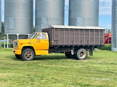 1980 Chevrolet 70 S/A Camión de granos