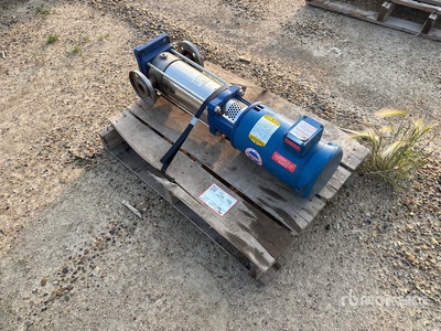 Goulds 1SVB1H4J0 Pompe à eau