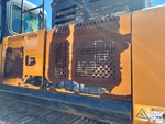 General Appearance with Paint