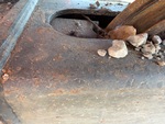 Undercarriage with Right Track Tensioner