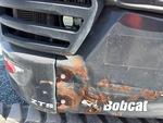 General Appearance with Paint