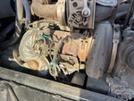 Engine with Exhaust System