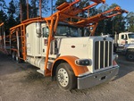 General Appearance with Paint