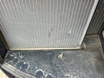 Silnik with Cooling System Leaks