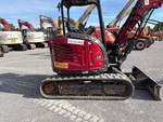 General Appearance with Paint