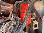 Engine with Fuel Leaks