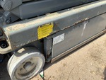 General Appearance with Paint