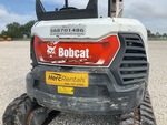 General Appearance with Paint
