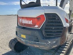 General Appearance with Paint