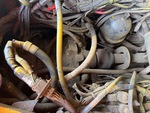 Drivetrain with Trasmissione