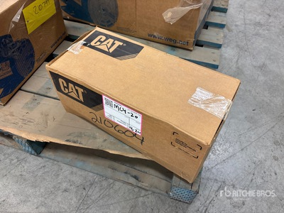 Cat Electric Motor