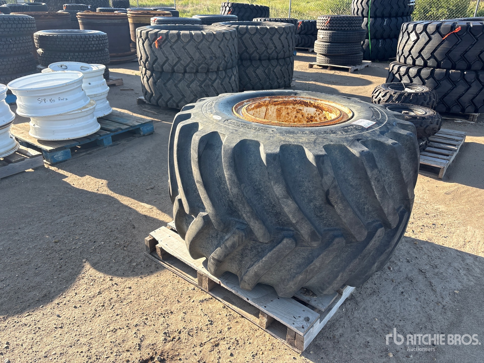 Primex 48X31.0-20 Tires