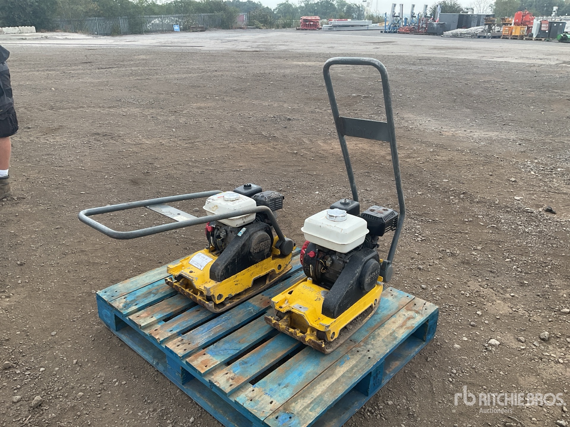 Quantity of (2) Wacker Neuson Vibratory Plate Compactor