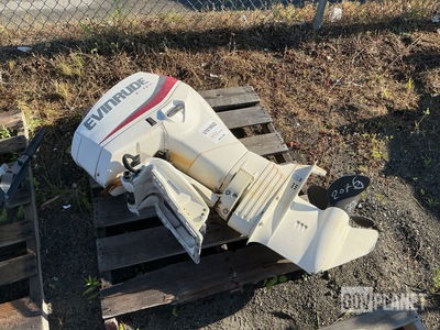 2014 Evinrude E60DSLAGA Outboard Motor