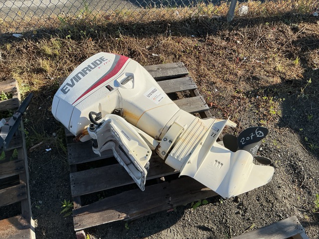 2014 Evinrude E60DSLAGA Outboard Motor