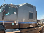 General Appearance with Paint