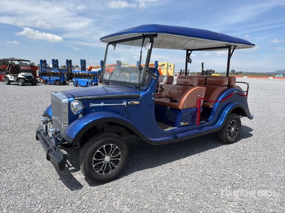 2026 EGC08 Electric Carro de golf (Unused)