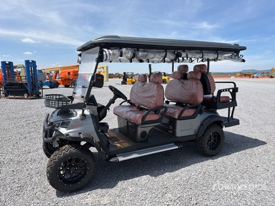 2026 EGC06 Electric Carro de golf (Unused)
