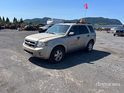 2012 Ford Escape XLT 4WD SUV