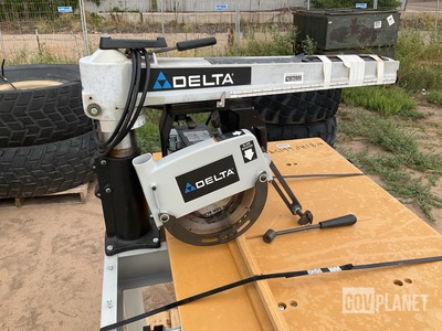 Delta RS830 10" Professional Radial Arm Saw