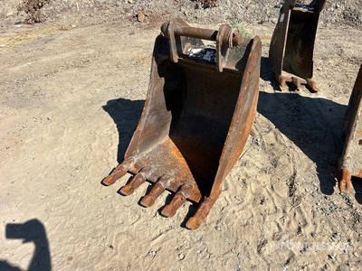24 in Digging Cazo