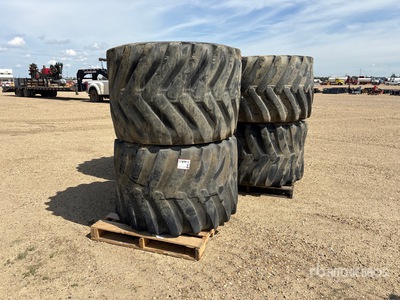 Quantity of (6) 48X31.00-20 Flotation Tires