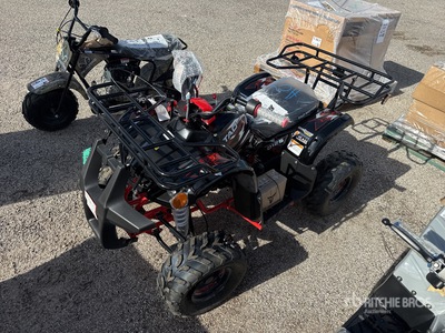 2026 Taotao D125 CC Veicolo fuoristrada ATV (Unused)