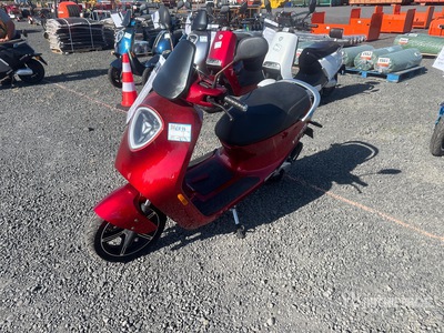 2021 Ziggy Electric الدراجة البخارية (Unused)