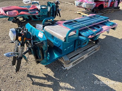 2026 SDLOOL SL-EC15 Electric Trike (Unused)