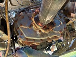 4 Underbody - Truck with Transmission