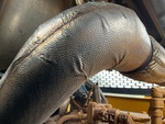 Engine with Exhaust System
