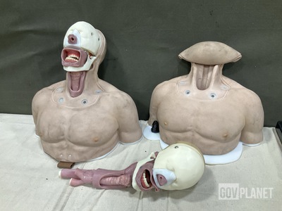 (2) Intubation & Airway Trainers