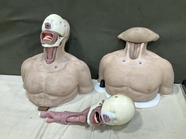 (2) Intubation & Airway Trainers