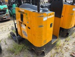 General Appearance with Paint